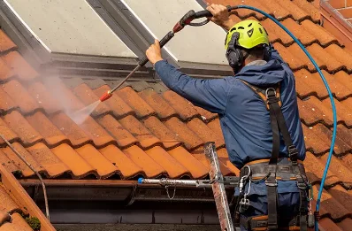 Démoussage et hydrofuge de toiture au Douhet
